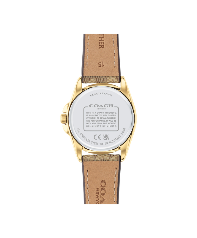 GREYSON SMALL 14504107
